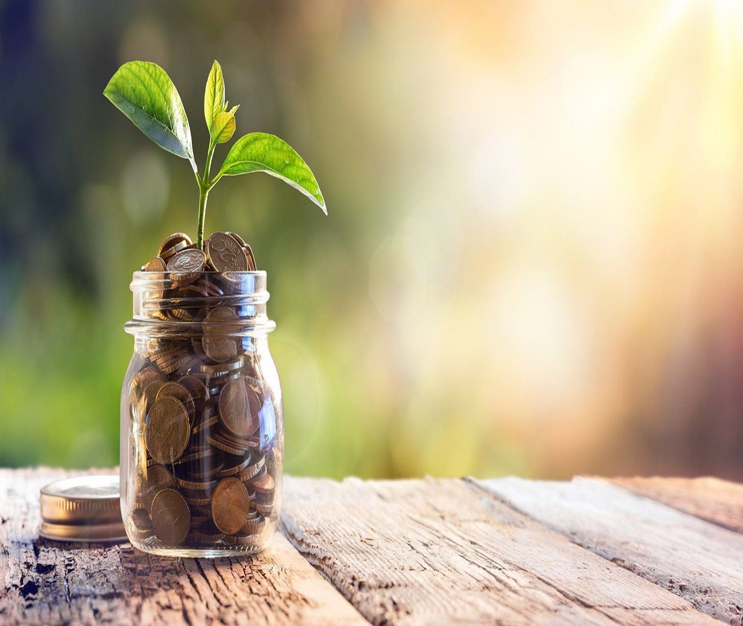 About Padakannaya & Co Chartered Accountants